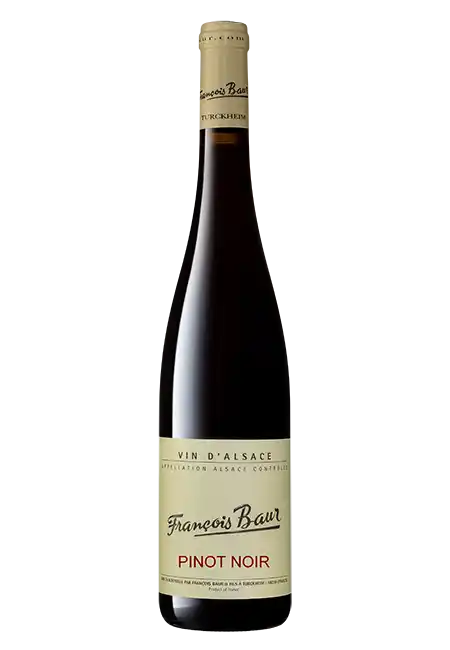 Pinot noir Schlittweg 2022