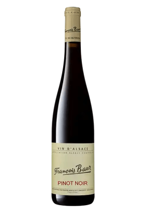 Pinot noir 2024