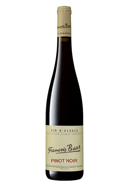 Pinot noir 2024
