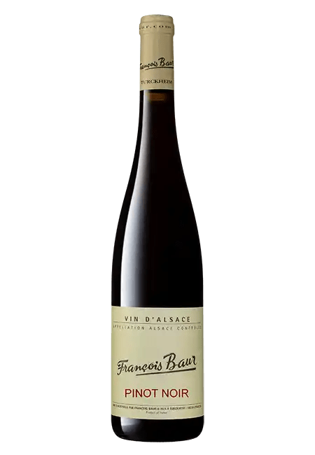 Pinot noir Schlittweg 2022